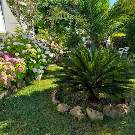Guest house And With Parking Space Palit, Rab - 22221